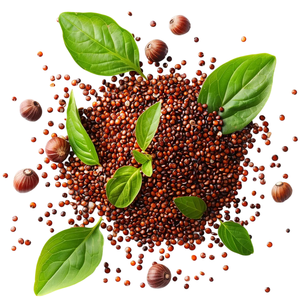 Reddish Seeds with Fresh Green Leaves Free PNG