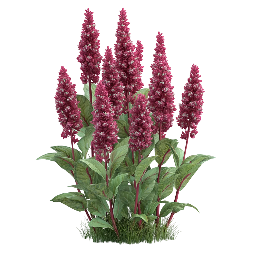 Magenta Flowering Plant with Green Leaves Free PNG