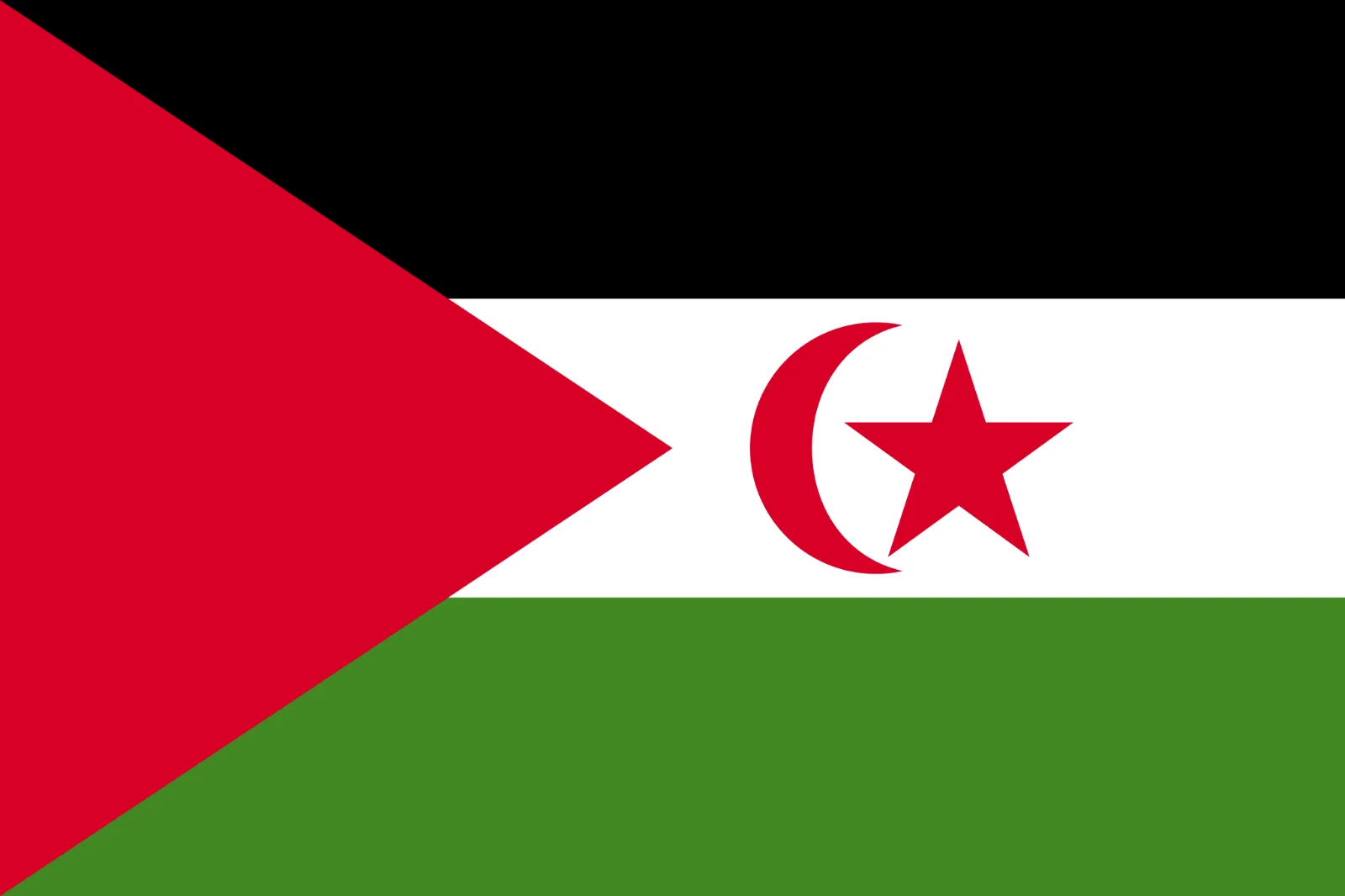 Western Sahara Flag Free PNG