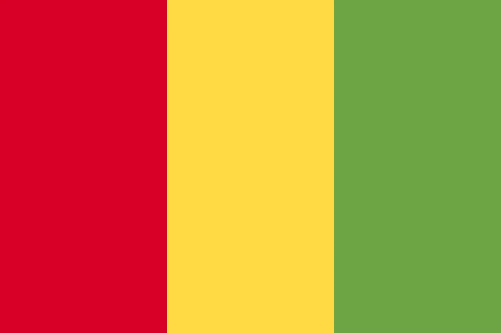 Guinea Flag with Red, Yellow, and Green Stripes Free PNG