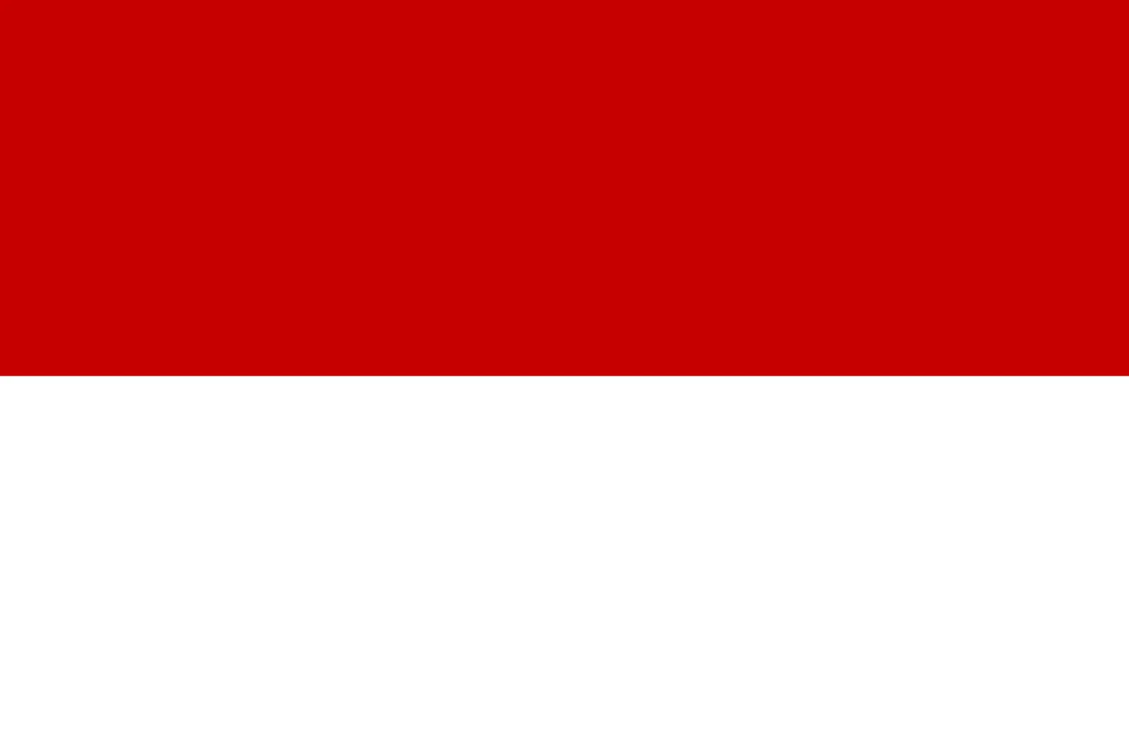 Red and White Indonesia Flag Free PNG
