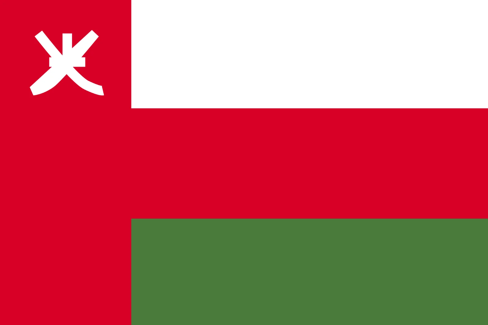 Red, White and Green Geometric Flag with Chinese Character Free PNG