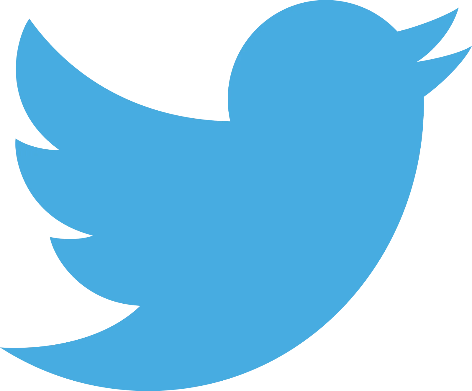 Twitter Bird Logo Free PNG