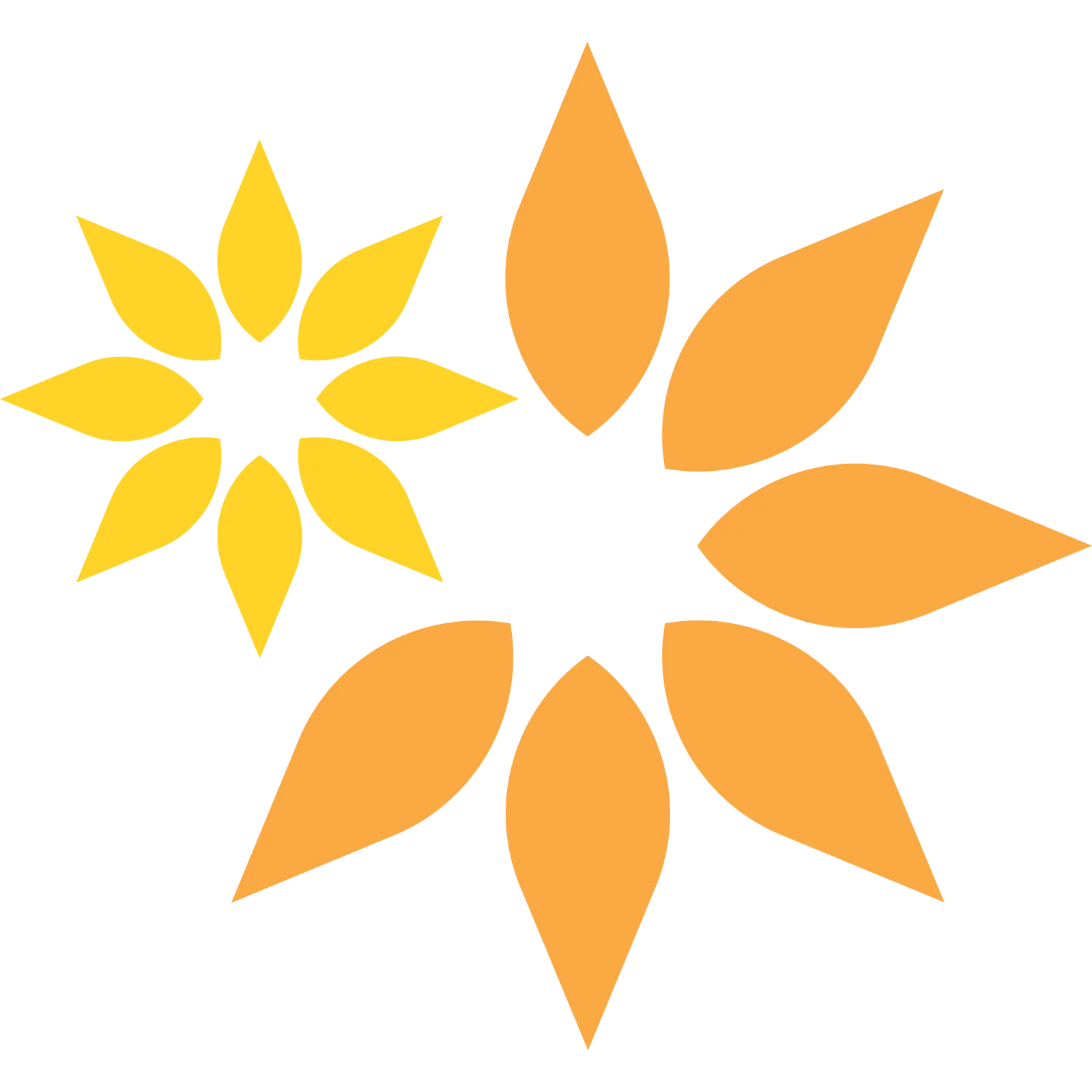 Yellow and Orange Floral Sunbursts Free PNG