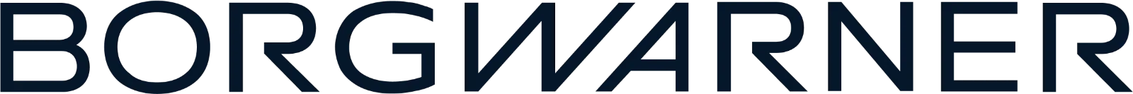 BorgWarner Wordmark Free PNG
