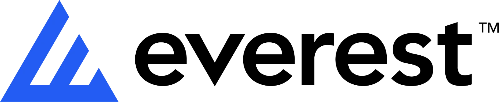 Everest Group Blue Geometric Logo Free PNG