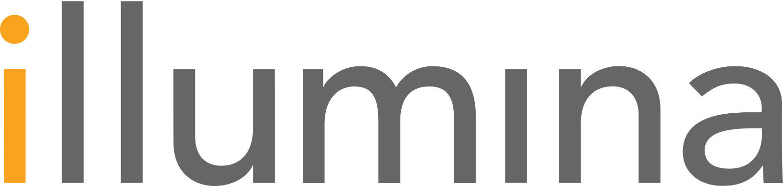 Illumina Wordmark with Orange Initial i Free PNG