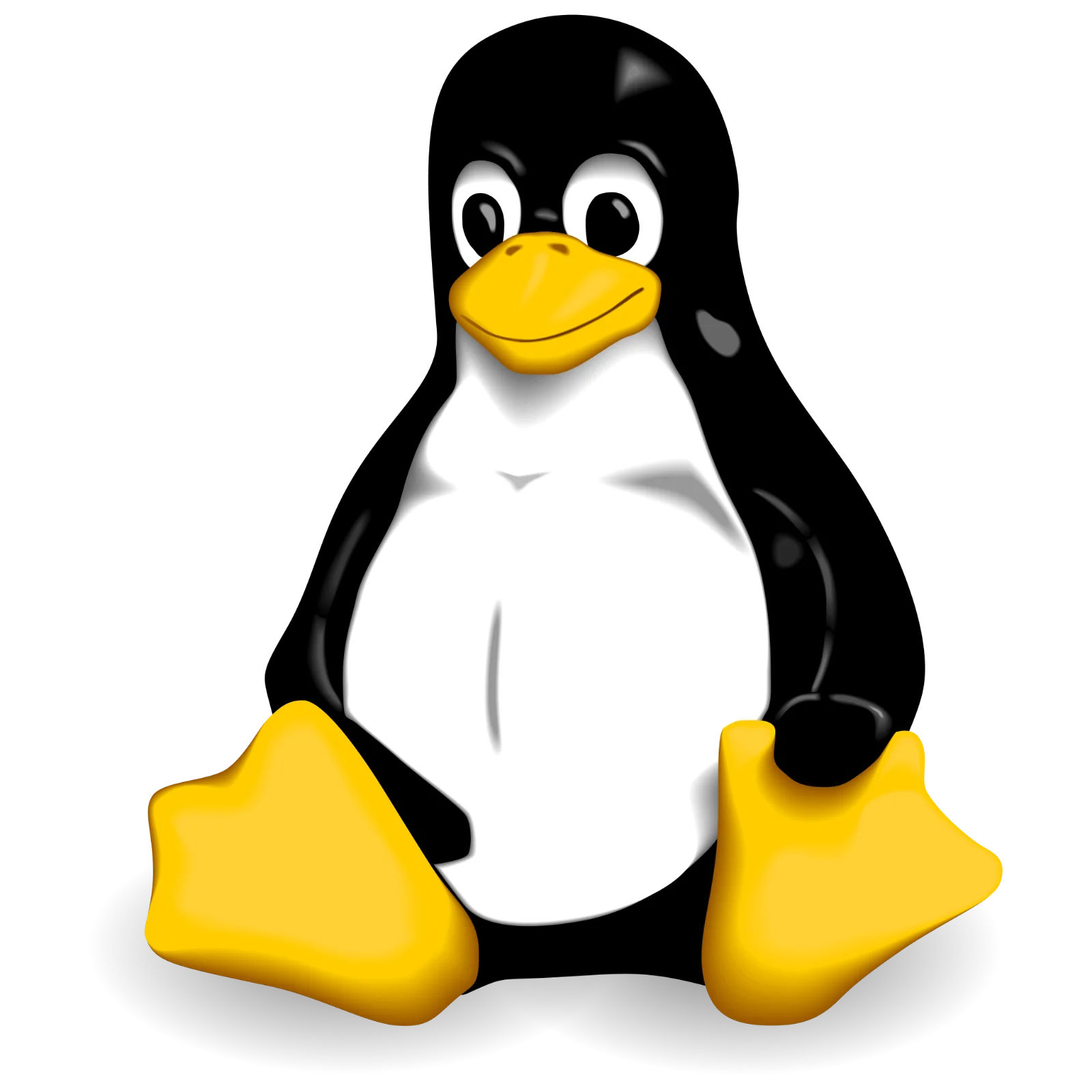 Cute 3D Penguin Mascot with Yellow Feet | Free PNG