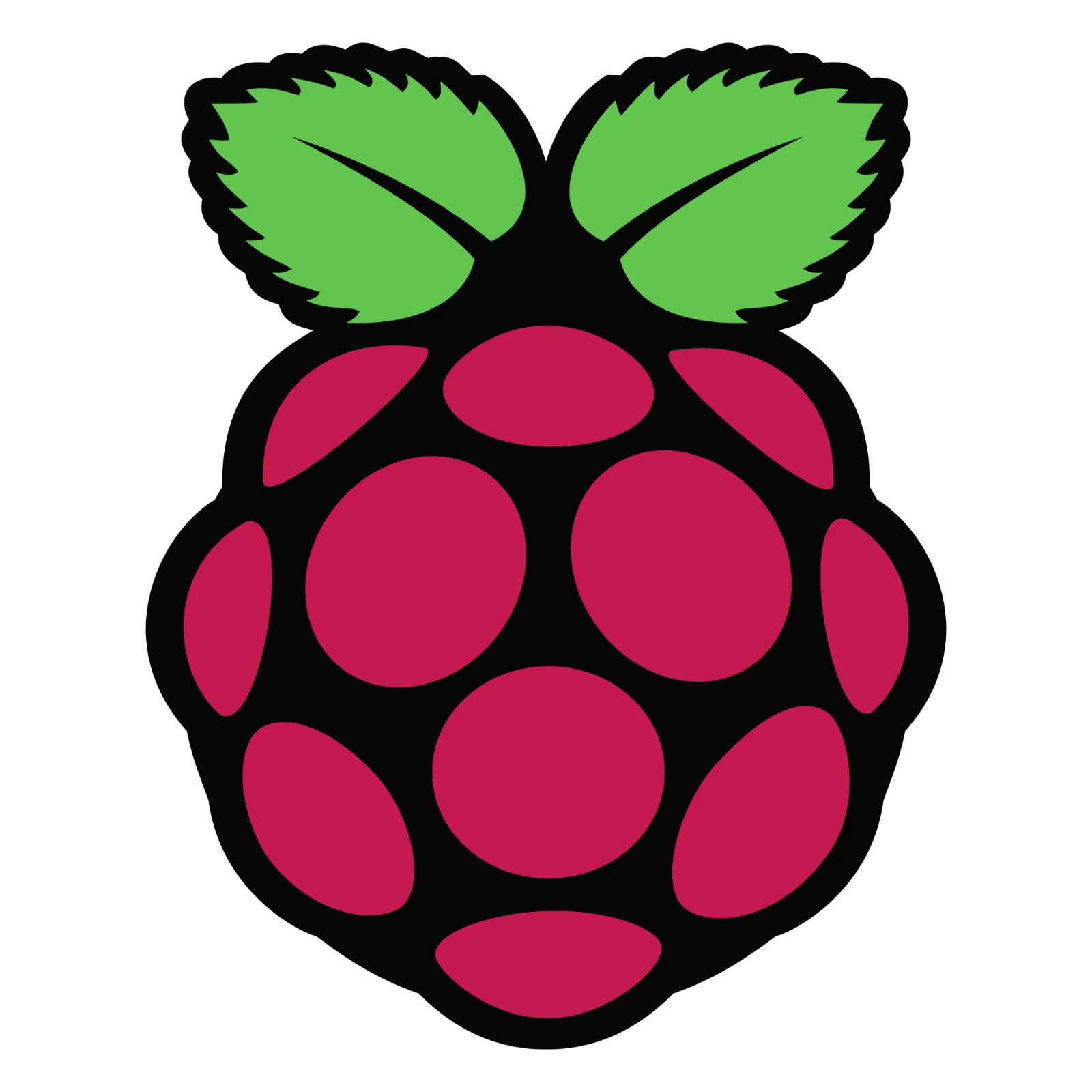 Raspberry Pi Logo with Green Leaves and Magenta Berry | Free PNG