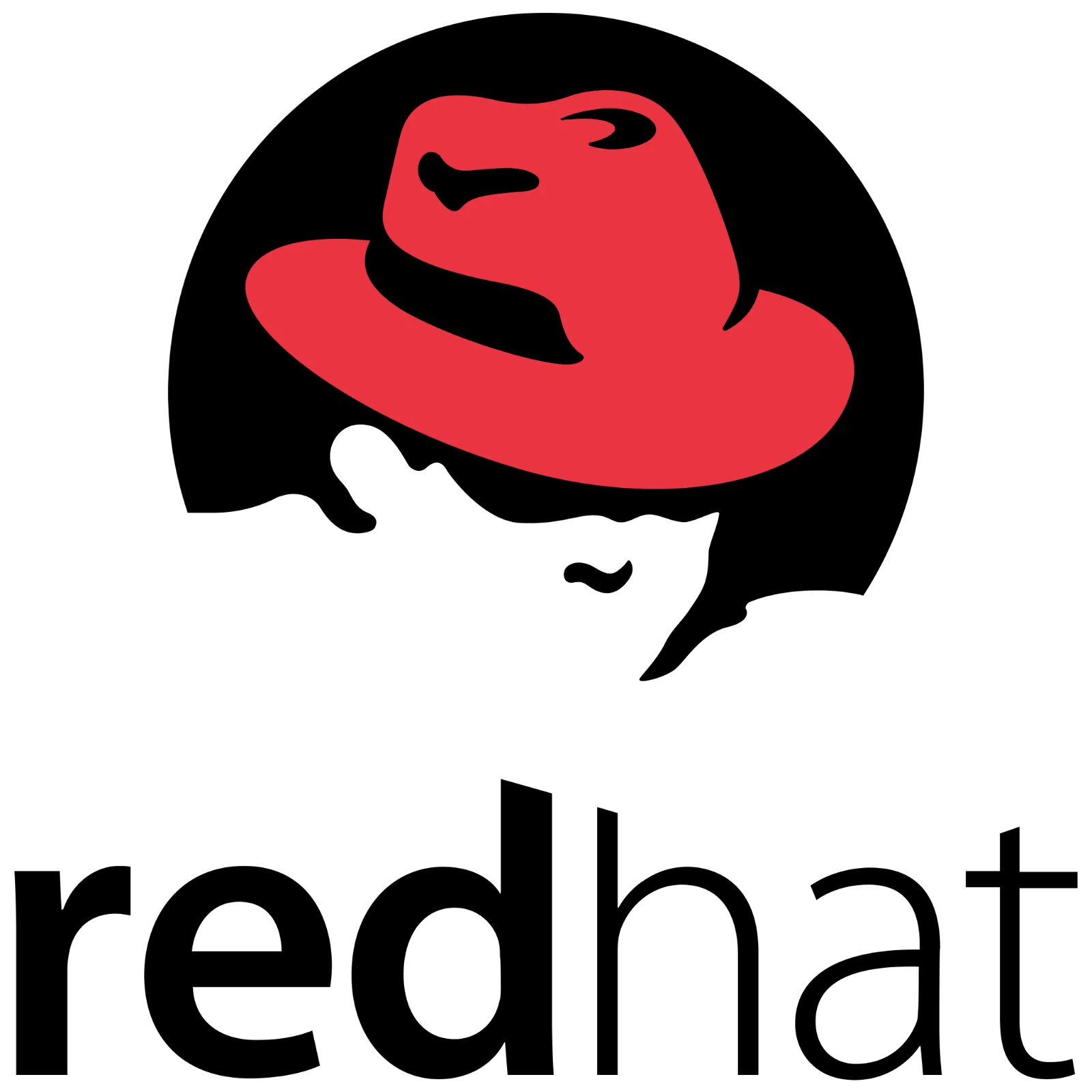 Stylized Face Beneath a Red Wide-Brimmed Hat Free PNG