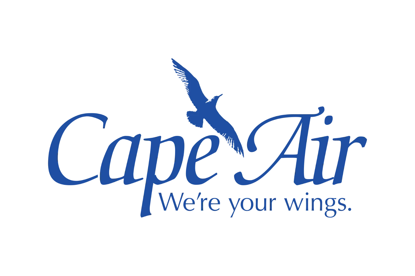 Cape Air Logo with Bird Emblem Free PNG