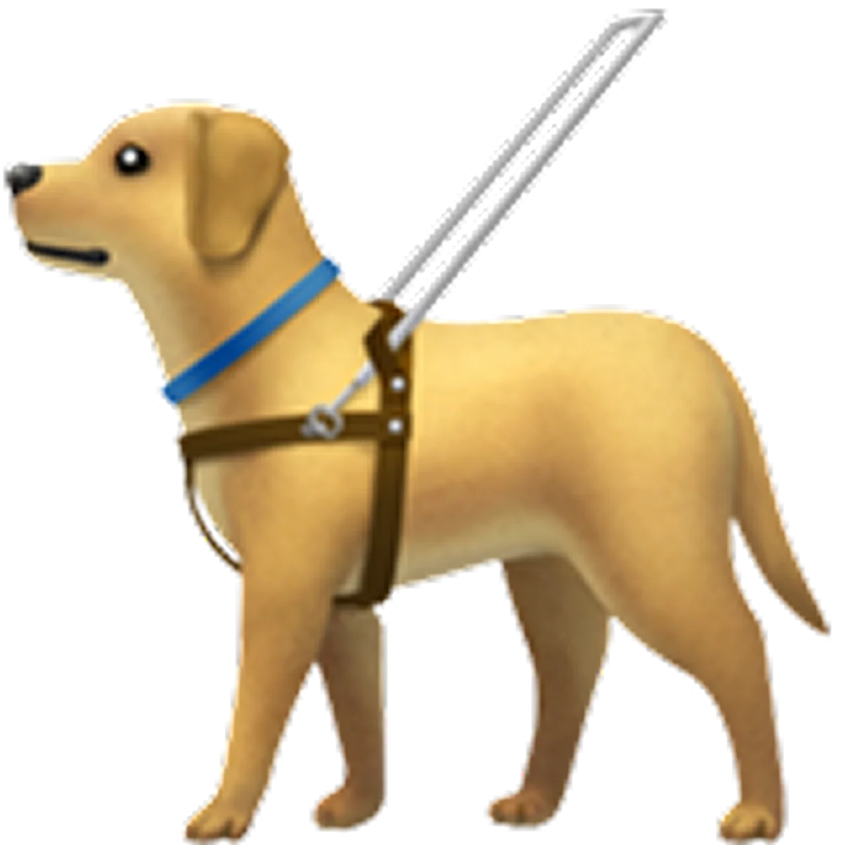 Golden Dog Wearing a Harness and Leash Free PNG