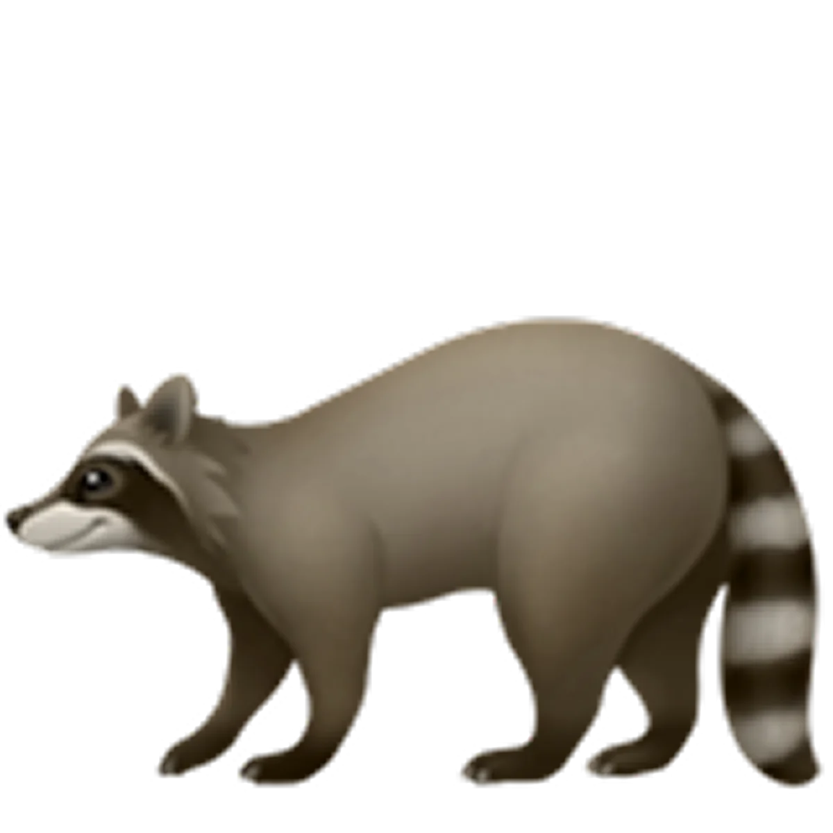 Standing Raccoon with Ringed Tail Free PNG