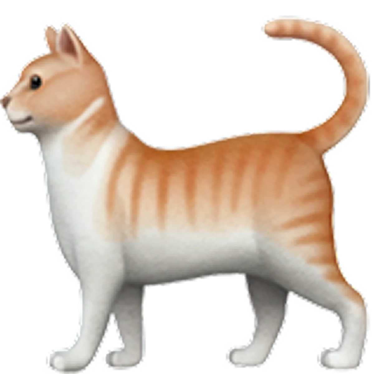 Orange and White Tabby Cat with Raised Tail Free PNG