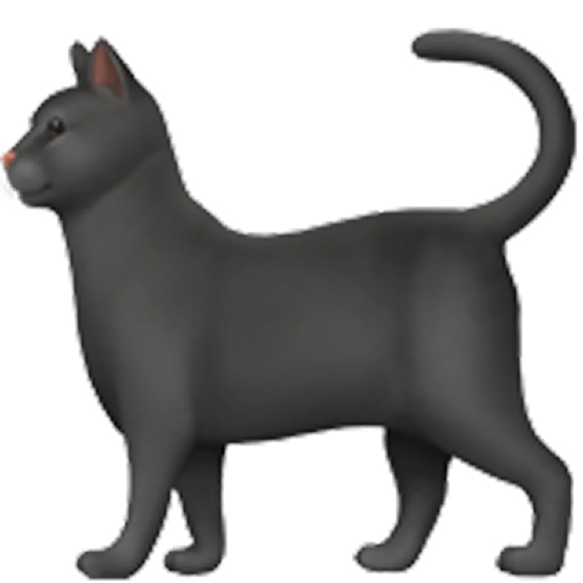 Dark Gray Cat Standing in Side Profile – Free PNG