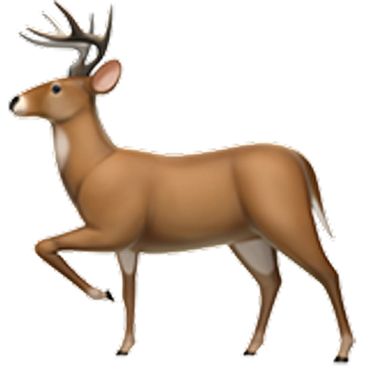 Brown Buck Deer in Side Profile – Free PNG