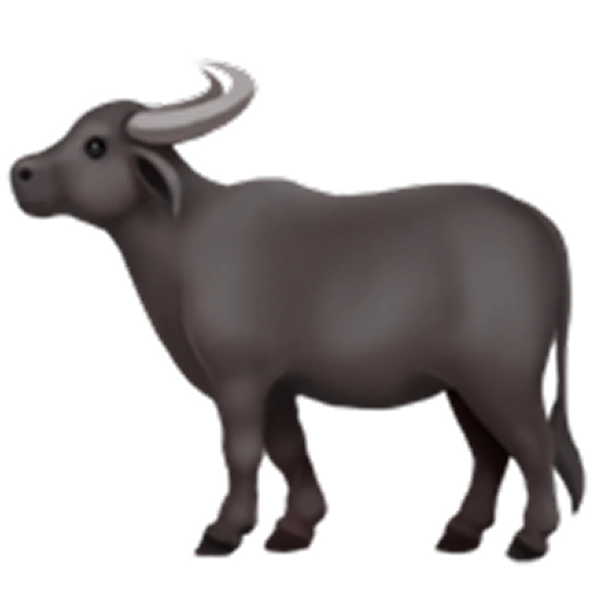 Dark Gray Water Buffalo Standing in Profile - Free PNG