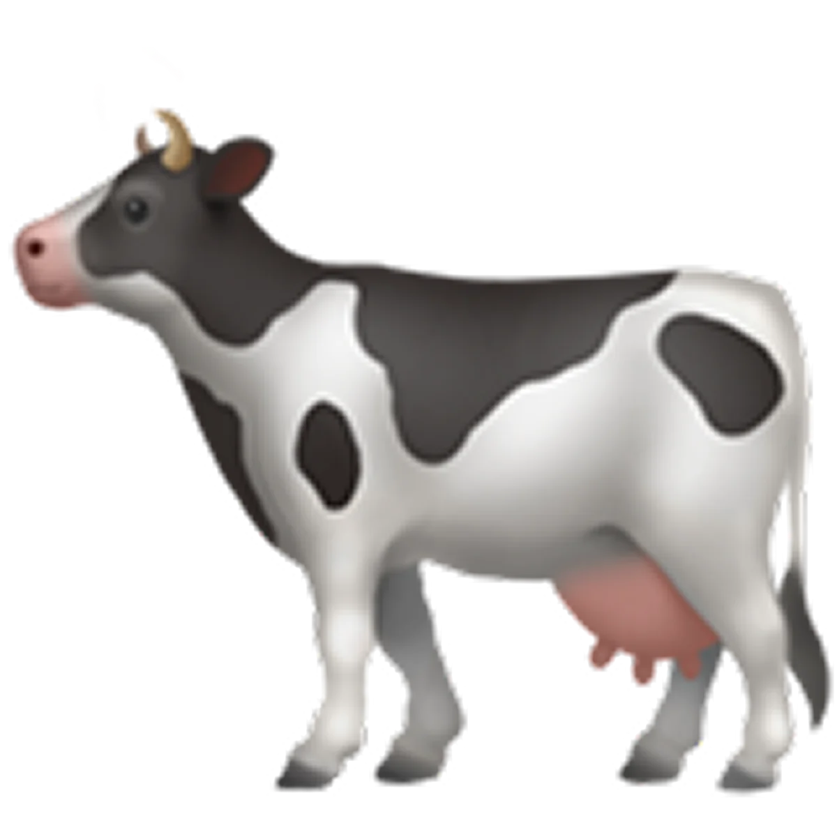 Black and White Dairy Cow Illustration Free PNG