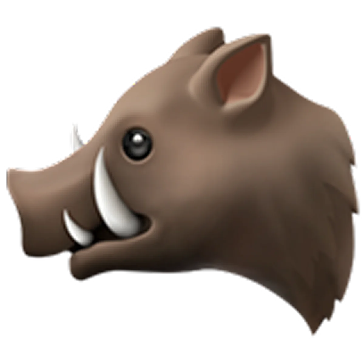 Brown Cartoon Boar Head with Tusks Free PNG