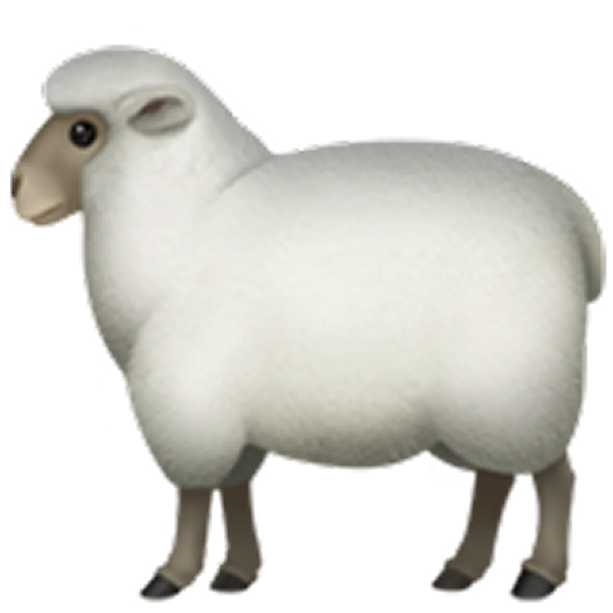 White Sheep Standing in Profile – Free PNG
