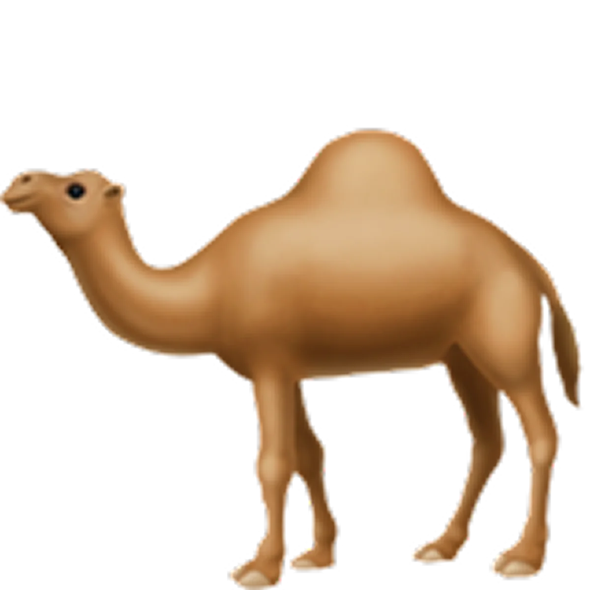 Standing Brown Dromedary Camel | Free PNG