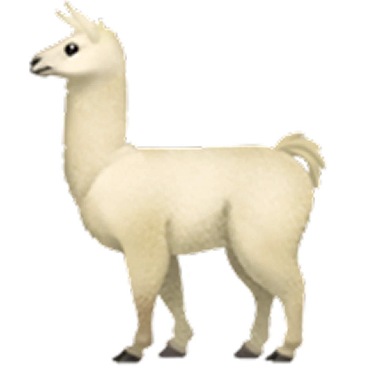 Cream Llama Standing in Profile Free PNG