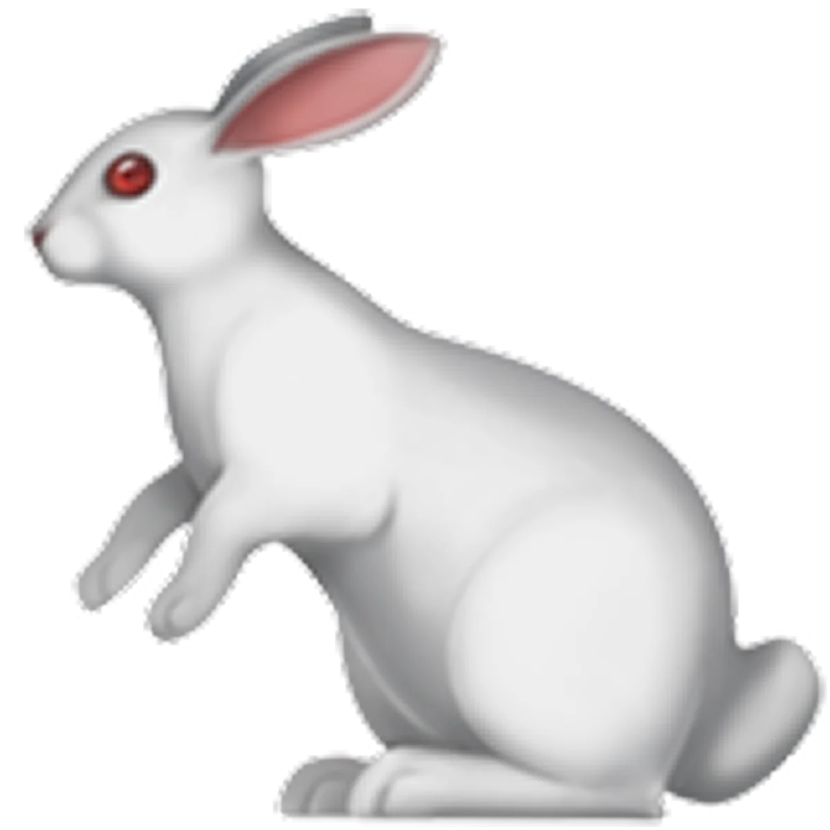 White Rabbit Sitting in Profile – Free PNG