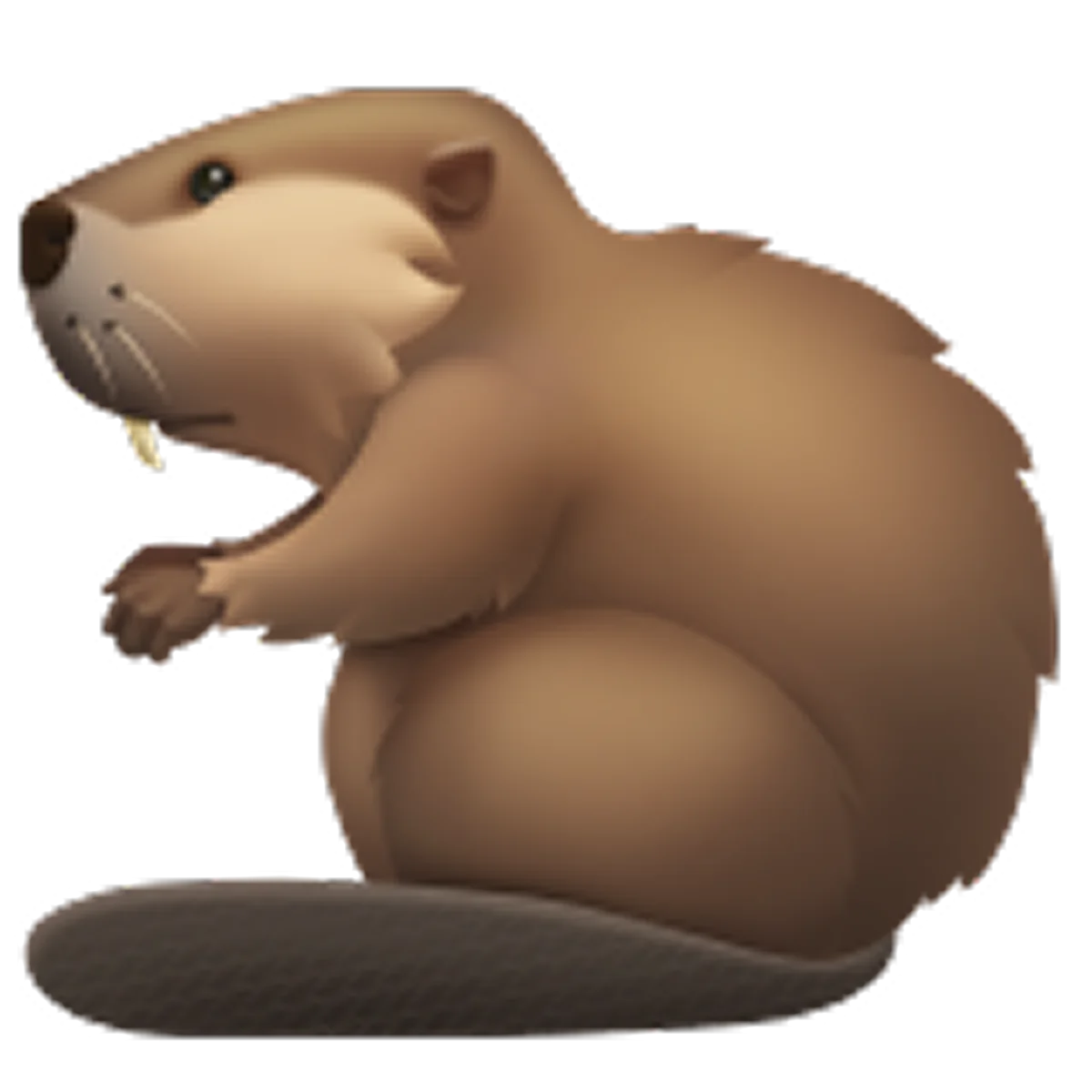 Cute Brown Beaver Sitting Upright | Free PNG
