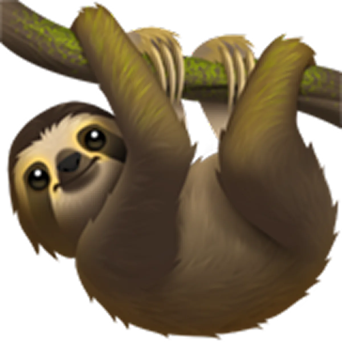 Cute Sloth Hanging from a Branch Free PNG