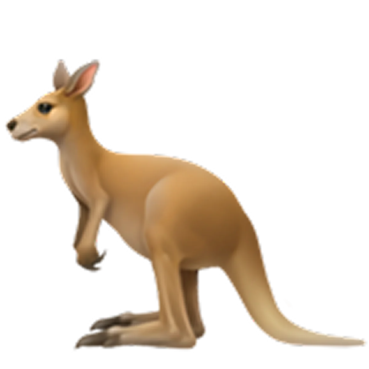 Seated Tan Kangaroo 3D Illustration Free PNG
