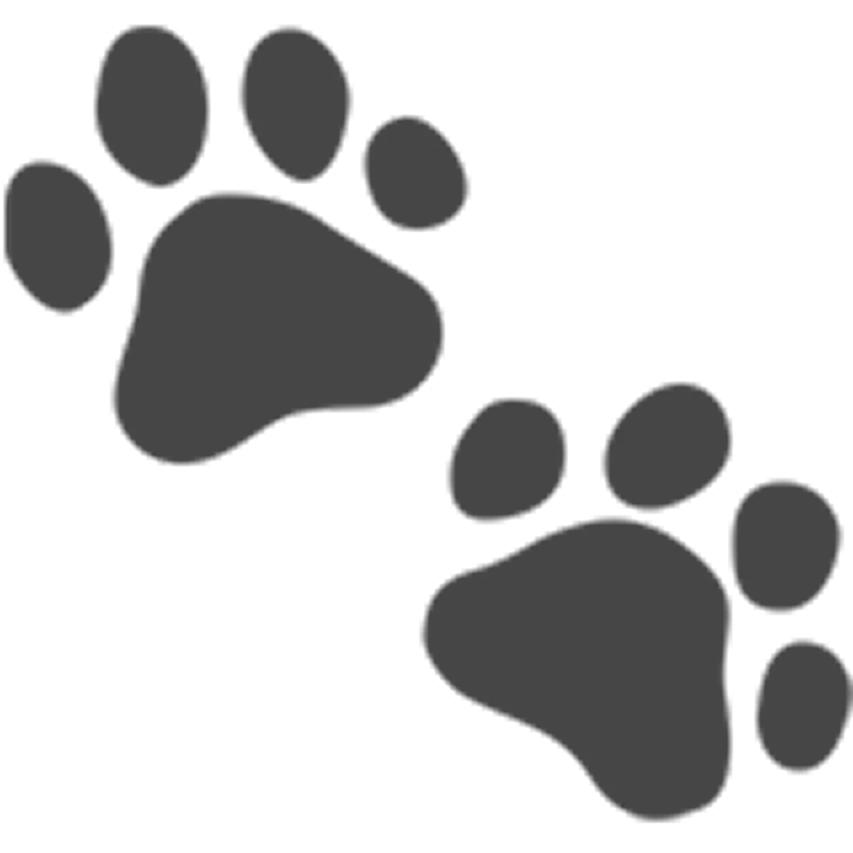 Two Gray Paw Prints Free PNG
