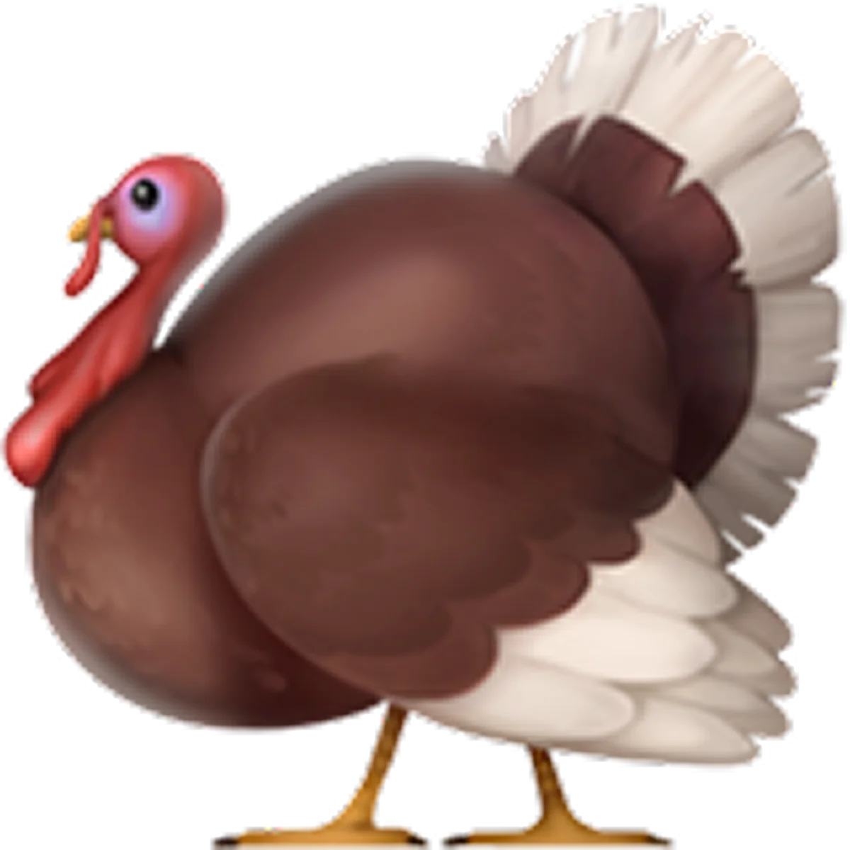 Cute Brown Cartoon Turkey with Fan-Shaped Tail Free PNG