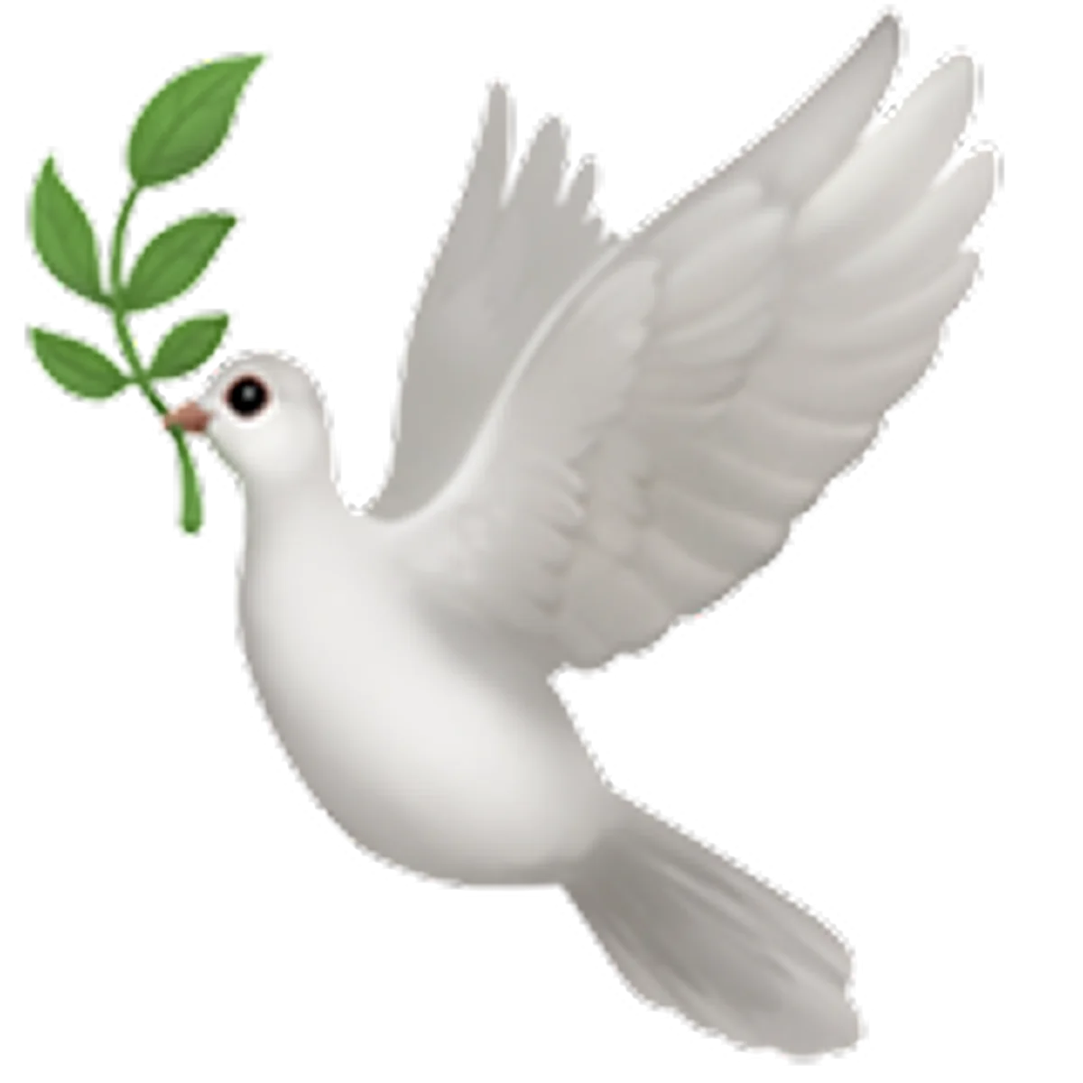 White Dove Carrying an Olive Branch Free PNG