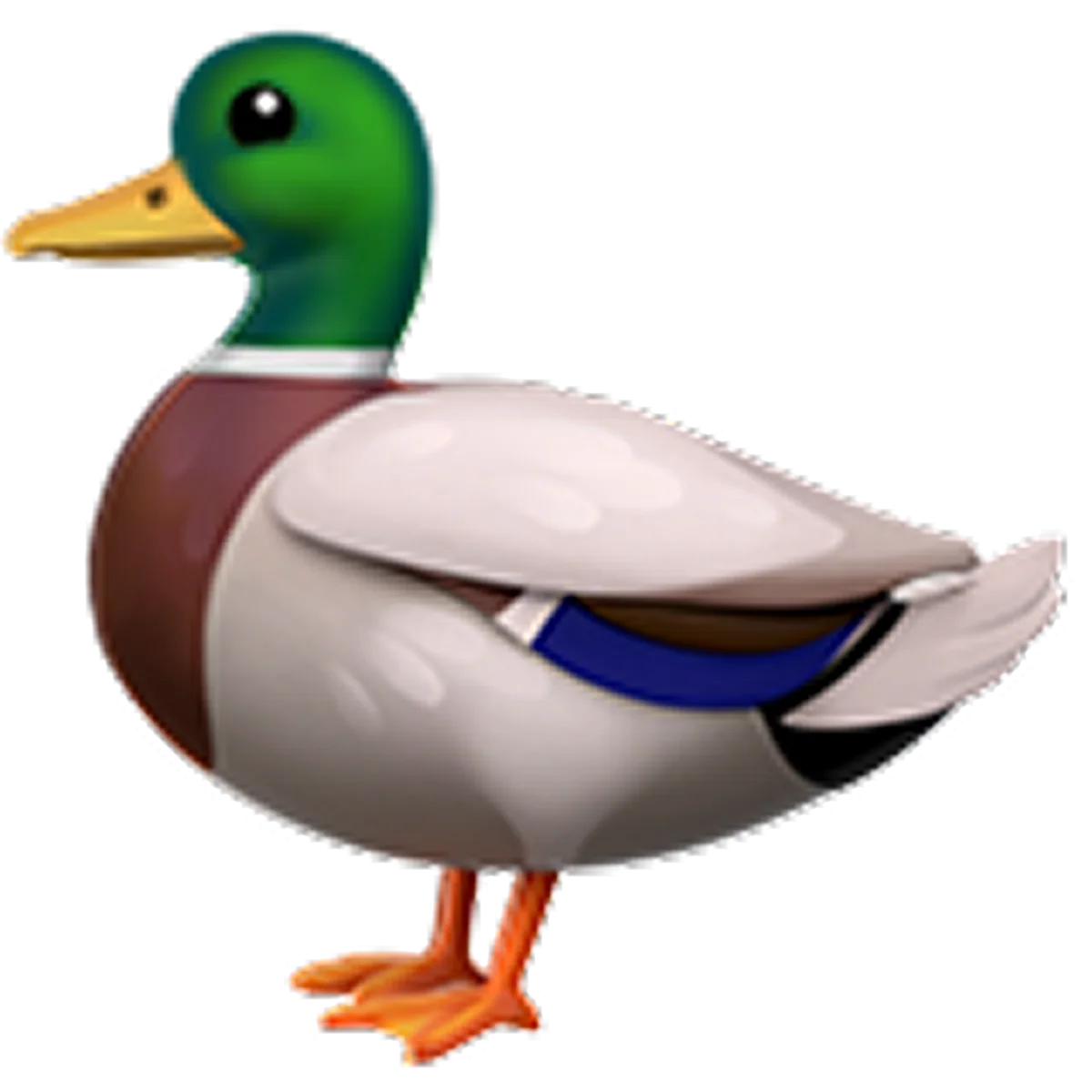 Cartoon Mallard Drake Standing Side View Free PNG