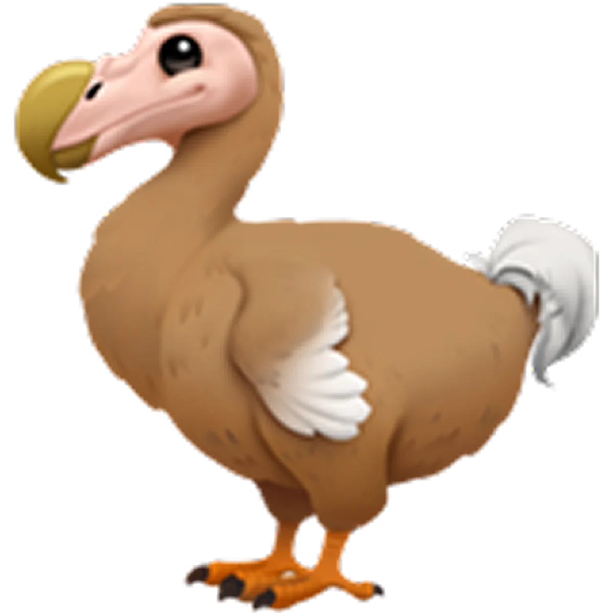 Cute Brown Dodo Bird Cartoon Free PNG