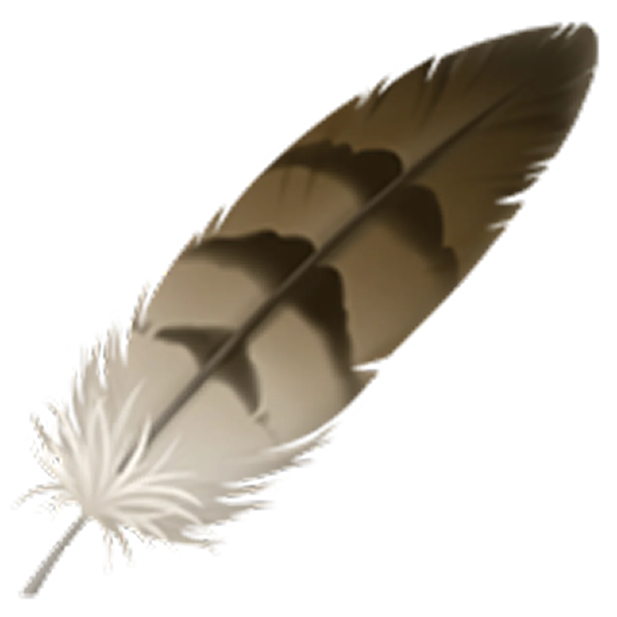 Brown and White Feather Free PNG