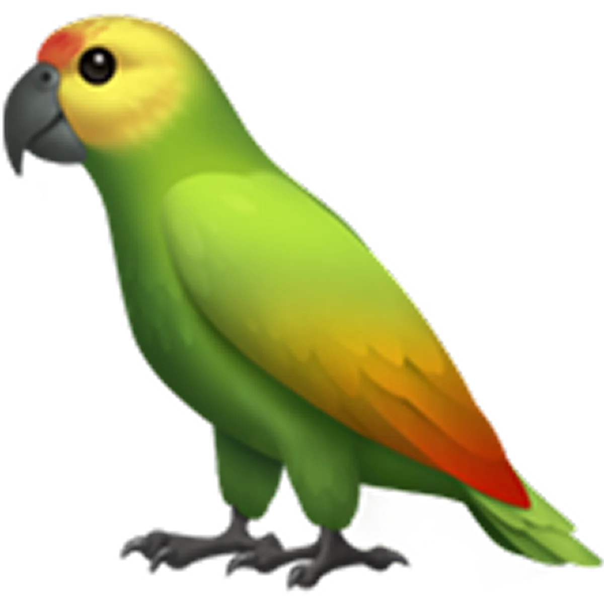 Colorful Green Parrot Illustration Free PNG