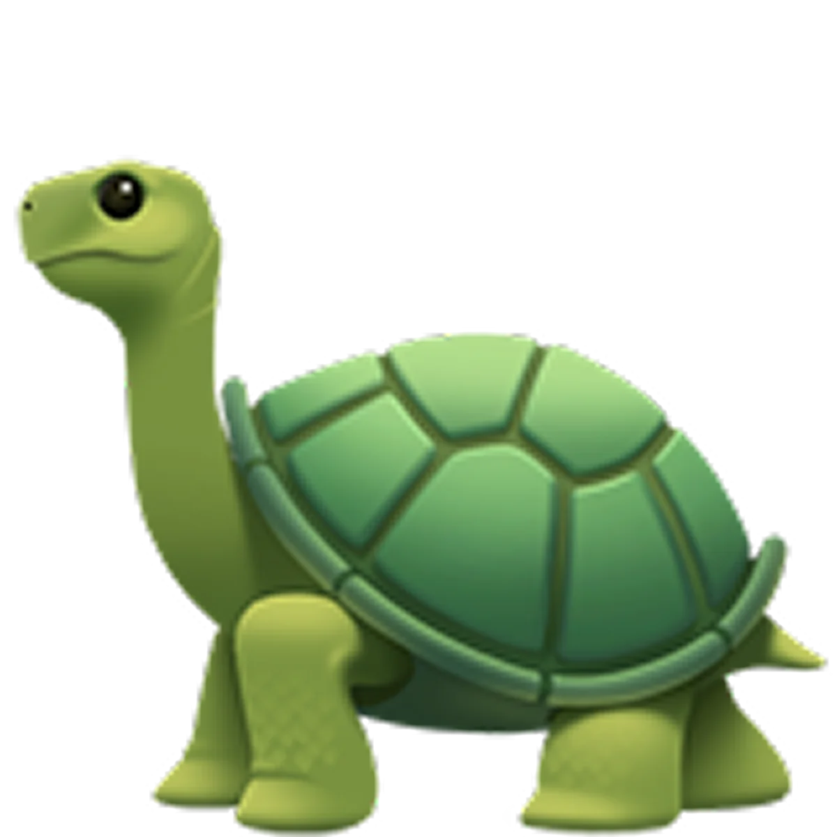 Friendly Green Turtle with Teal Shell Free PNG