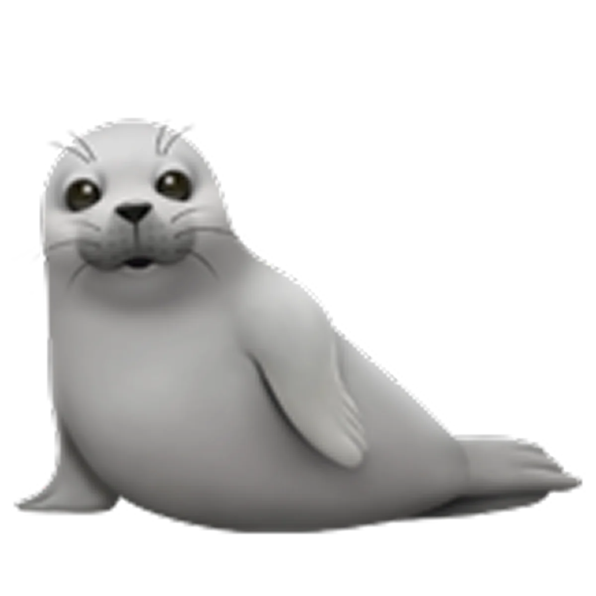 Cute Gray Seal Sitting – Free PNG