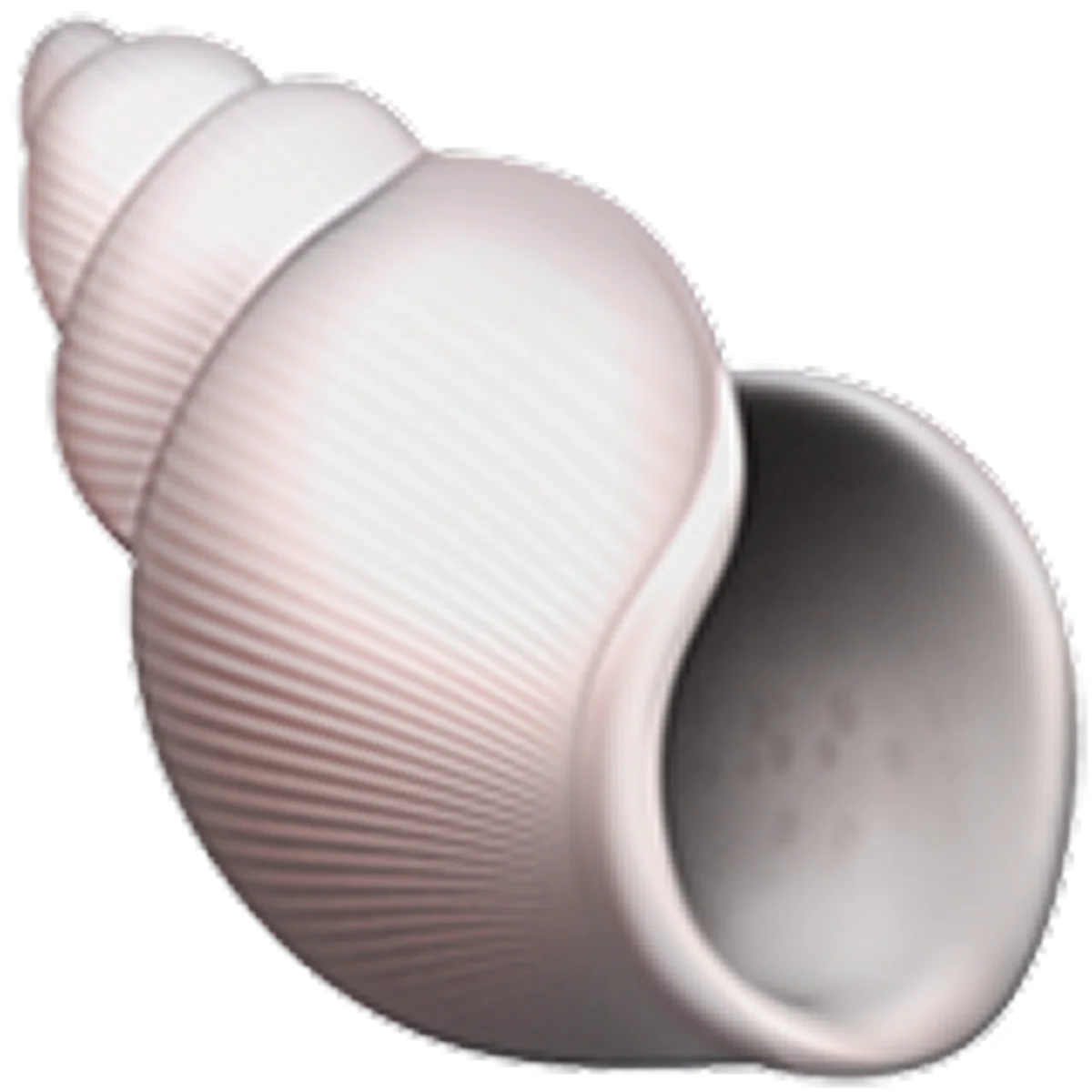 Pale Pink Ribbed Spiral Seashell Free PNG