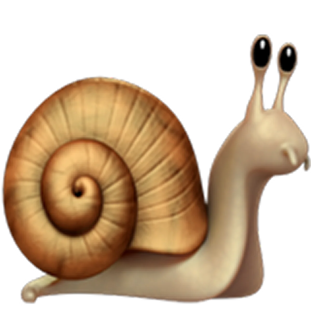 Cute 3D Snail with Spiral Shell Free PNG