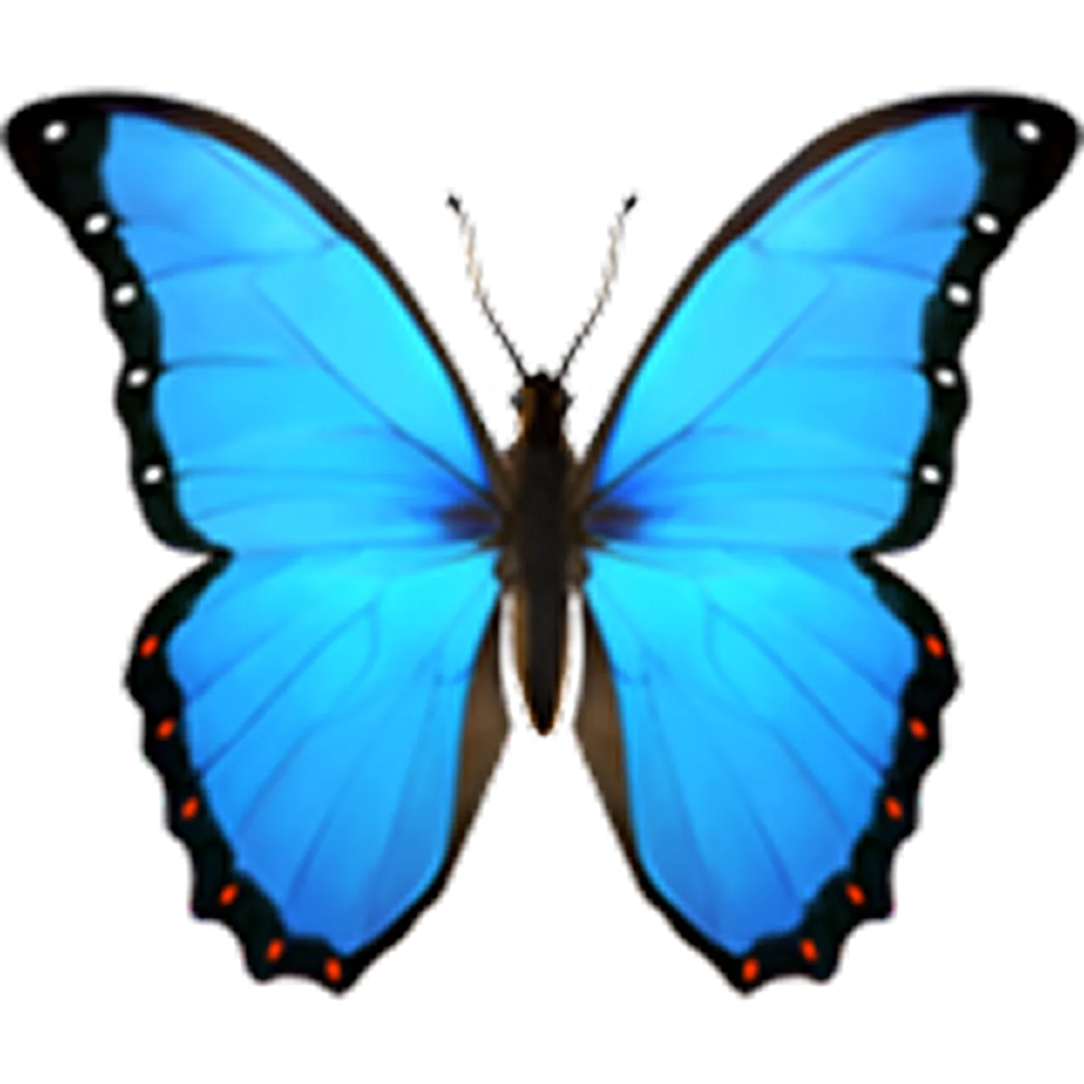 Blue Butterfly with Black-Edged Wings Free PNG