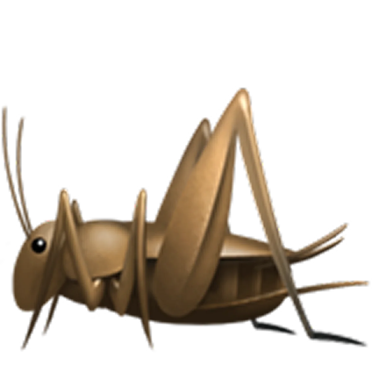 Brown 3D Grasshopper Illustration Free PNG