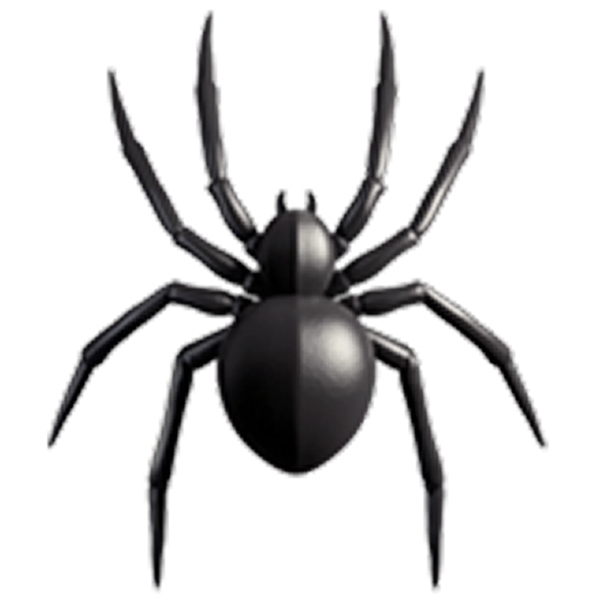 Glossy Black Spider Illustration Free PNG