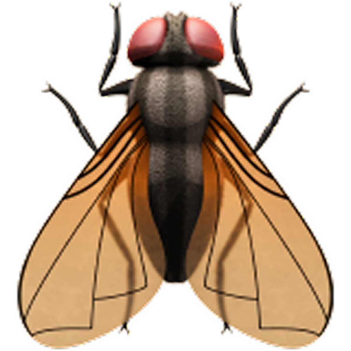 Front-Facing Fly with Tan Wings and Red Eyes - Free PNG