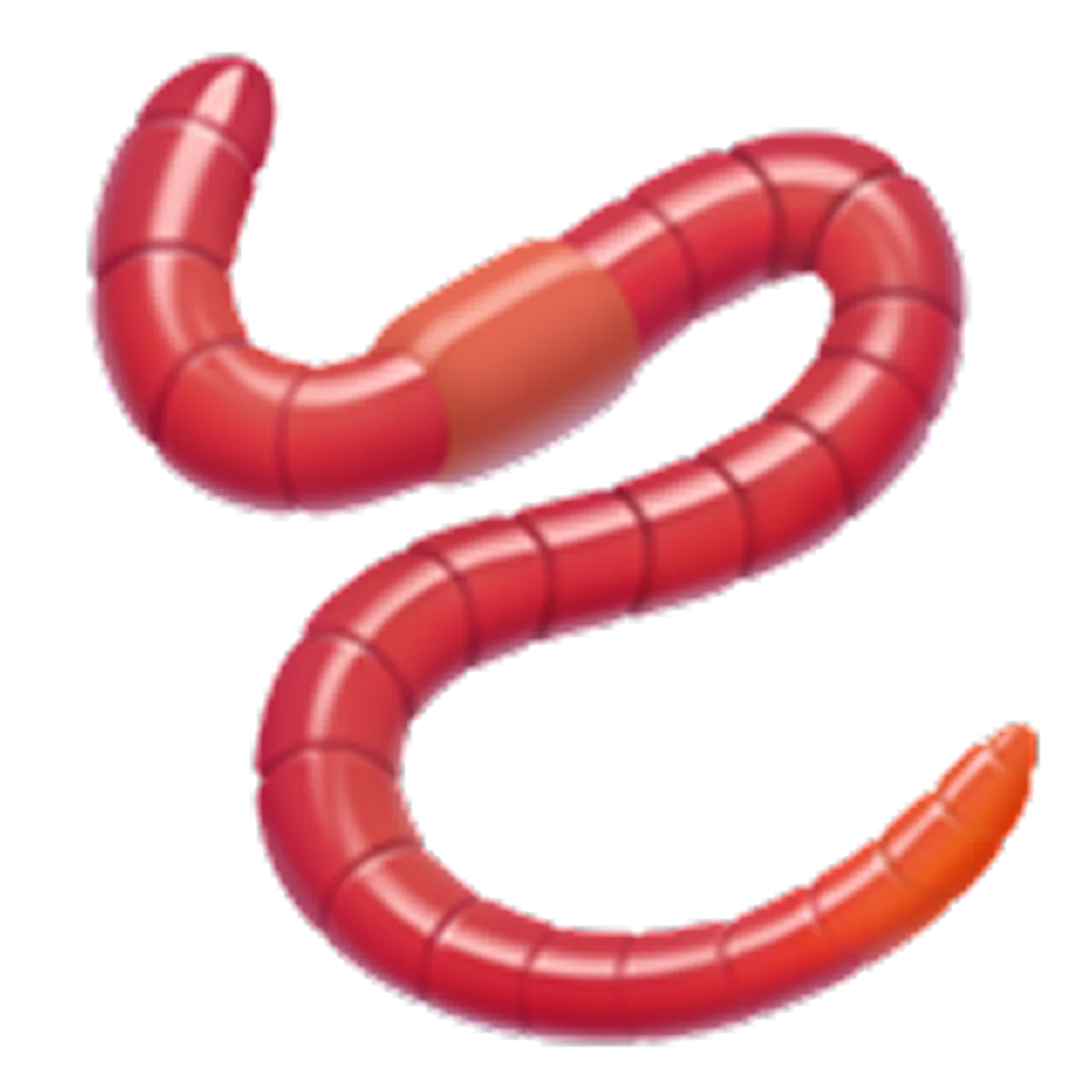 Glossy Red Segmented Worm Free PNG