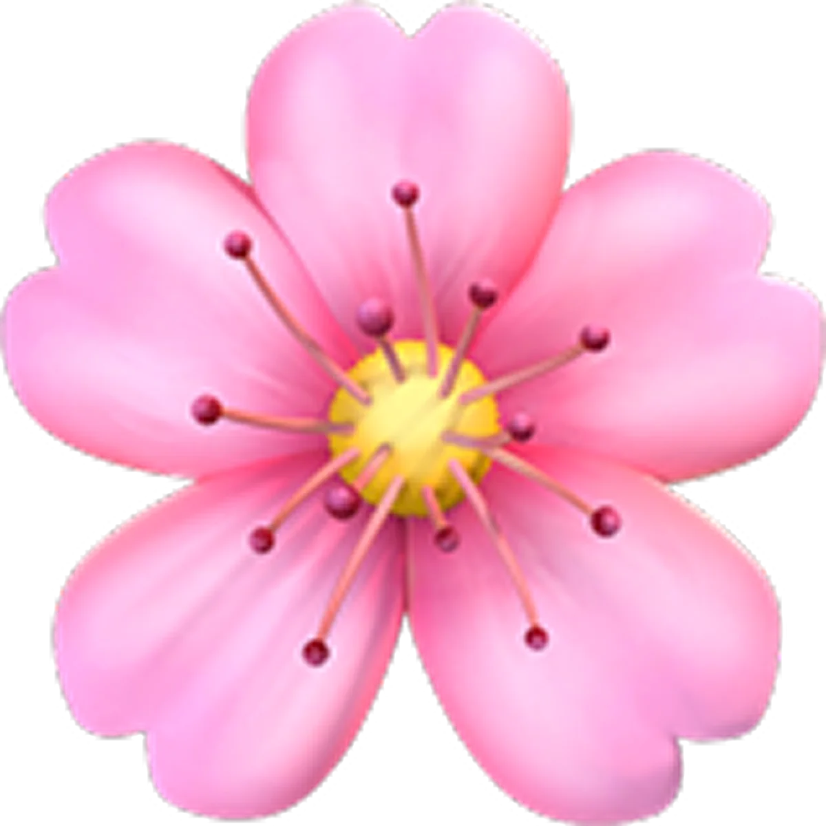 Pink Flower Blossom with Yellow Center Free PNG