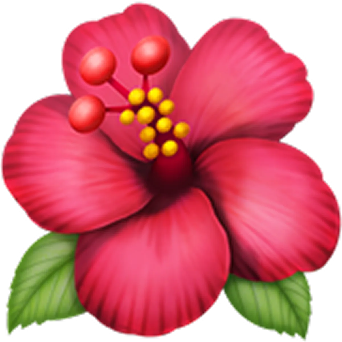 Pink Hibiscus Flower with Green Leaves – Free PNG