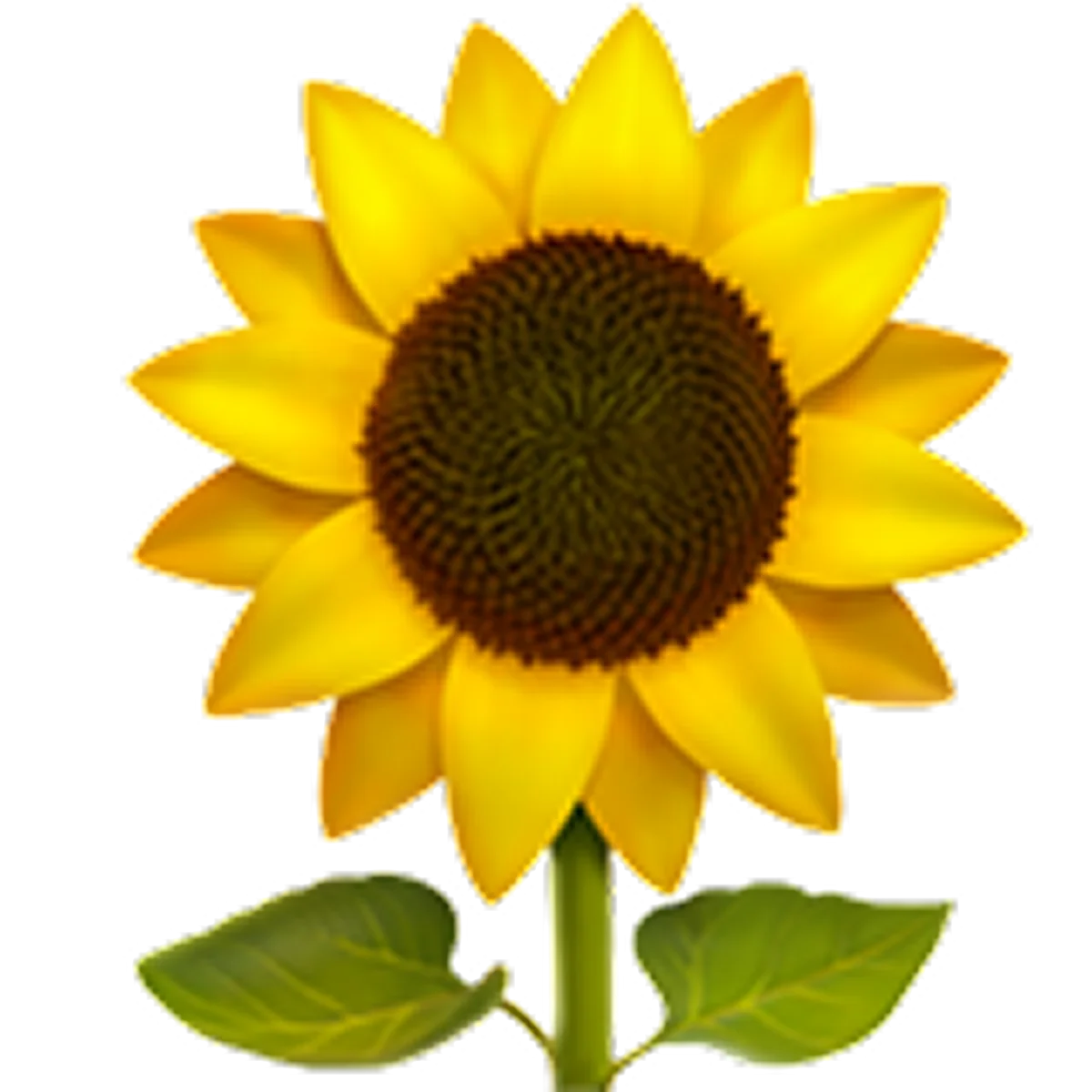 Bright Yellow Sunflower with Green Leaves – Free PNG