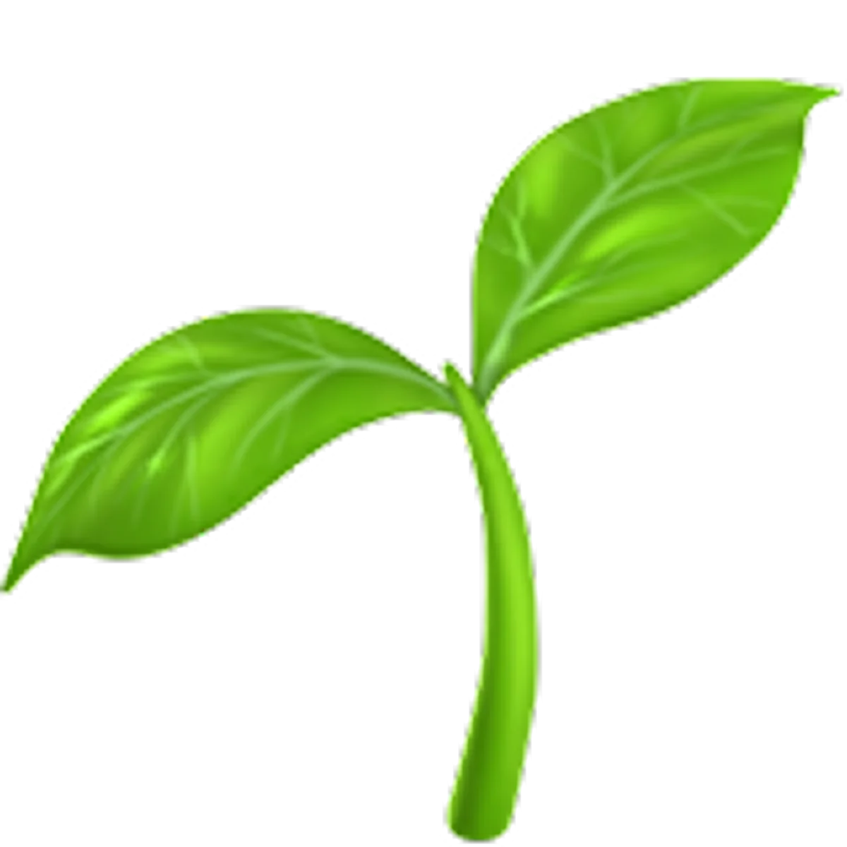Bright Green Two-Leaf Sprout Illustration Free PNG